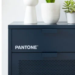 Outlet Pantone NINO Meuble à chaussures 2 portes 1 tiroir en métal L55cm